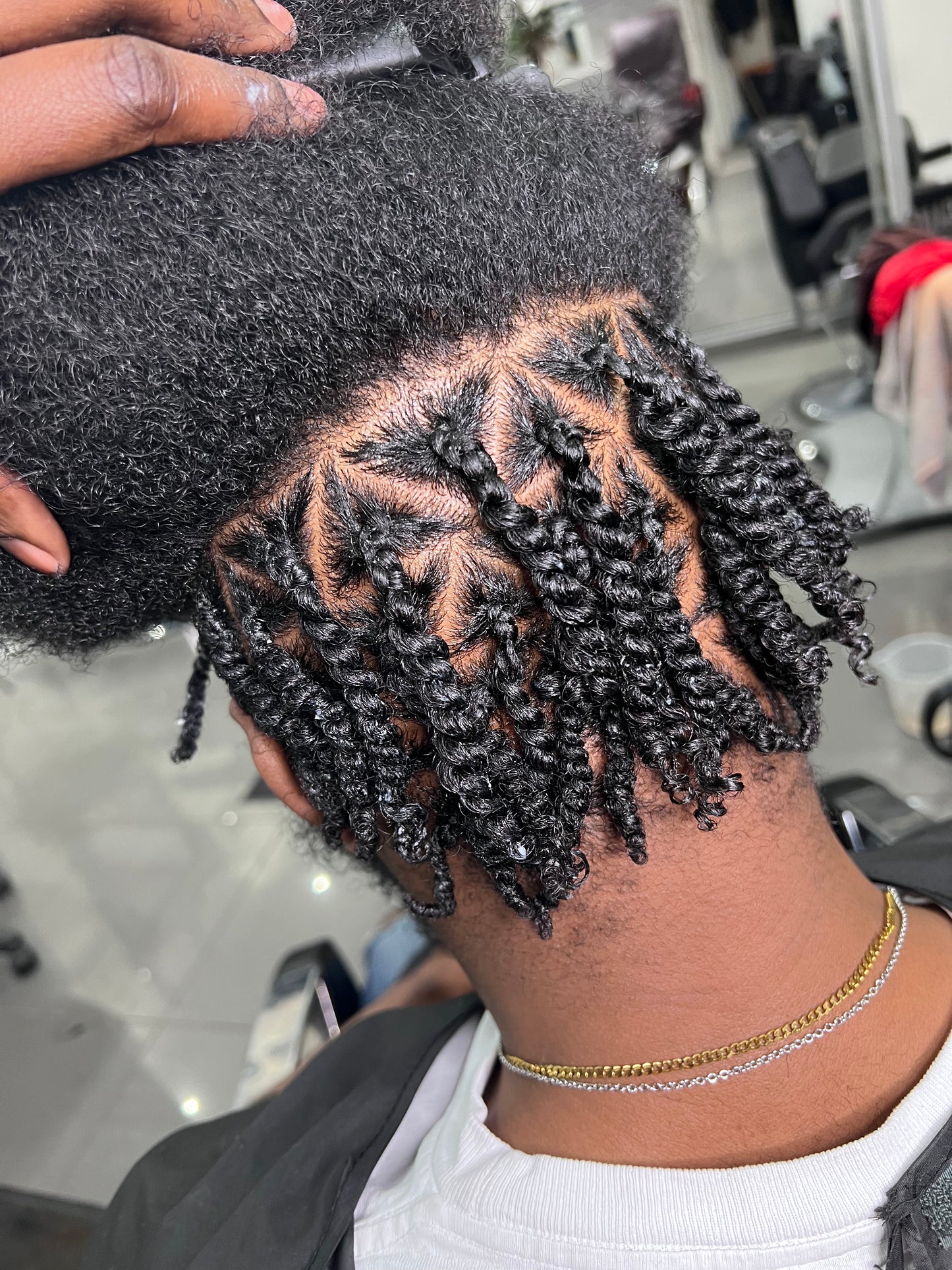 Two-Strand Twists / Loc Starts